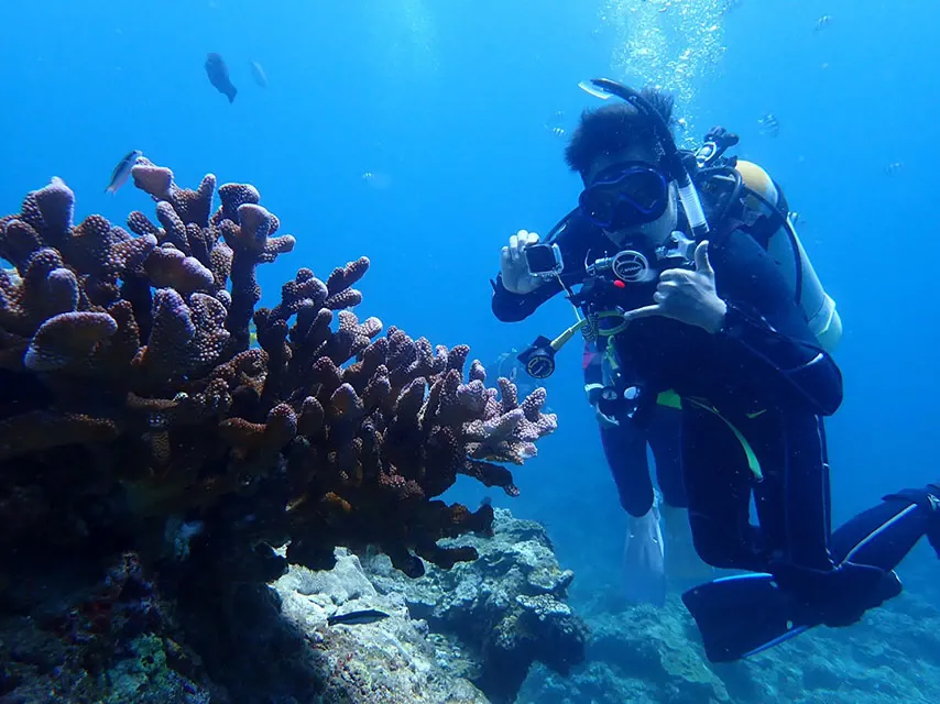 水肺潛水 5分鐘了解潛水證照可以幹嘛 Padi Open Water Ow考試流程及心得大揭密 膽小鬼與冒險王